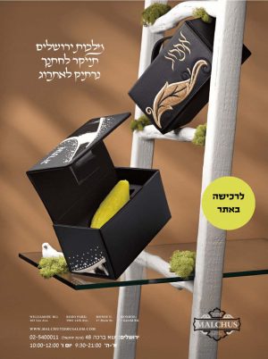 unnamed - 2026-01-29T114943.568